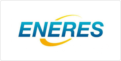 株式会社エナリス